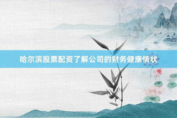 哈尔滨股票配资了解公司的财务健康情状