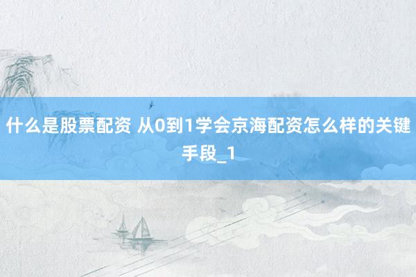什么是股票配资 从0到1学会京海配资怎么样的关键手段_1