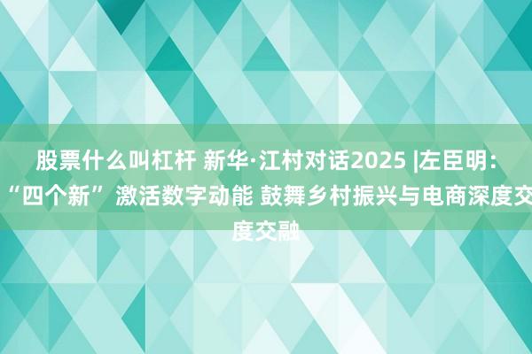 股票什么叫杠杆 新华·江村对话2025 |左臣明：以 “四个新” 激活数字动能 鼓舞乡村振兴与电商深度交融