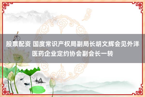 股票配资 国度常识产权局副局长胡文辉会见外洋医药企业定约协会副会长一转
