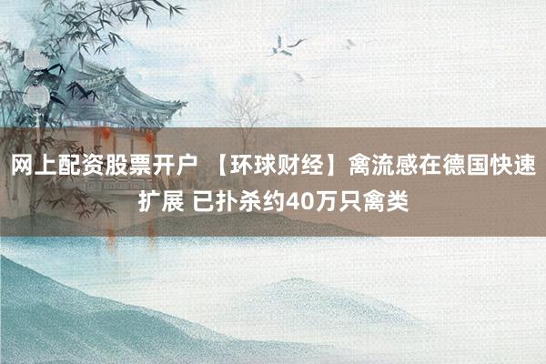 网上配资股票开户 【环球财经】禽流感在德国快速扩展 已扑杀约40万只禽类